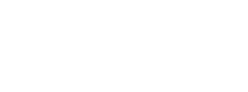 Echelon Coach logo.